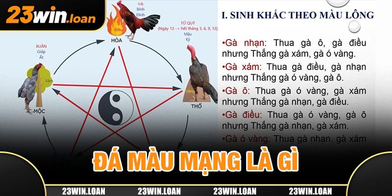 Đá màu mạng là gì