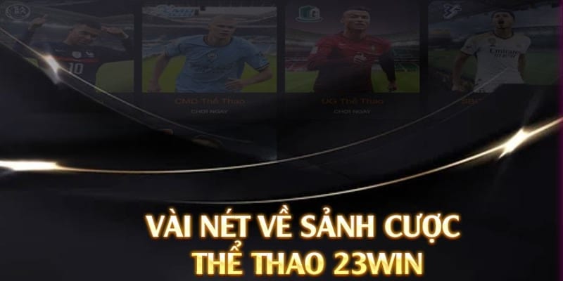 Thể thao là sảnh game được hội viên yêu thích nhất tại nhà cái